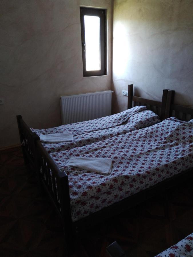 Family Hotel Mtamta Gudauri Esterno foto