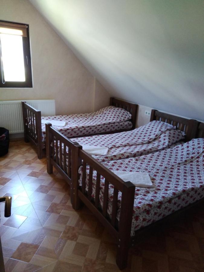 Family Hotel Mtamta Gudauri Esterno foto