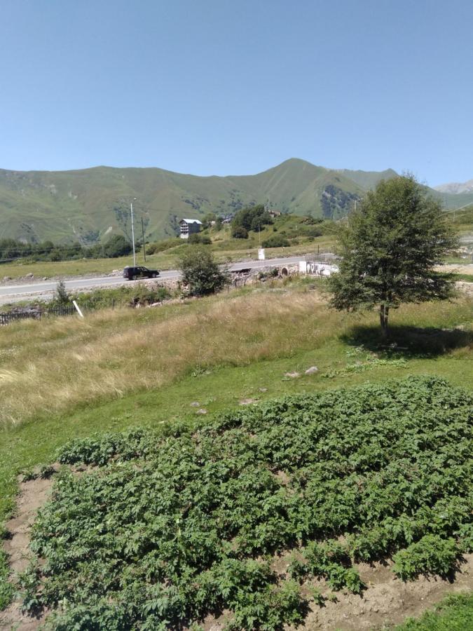Family Hotel Mtamta Gudauri Esterno foto